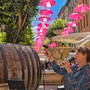 Grasse, il vino torna protagonista nel centro storico con le Vendanges Libres Grasse, il vino torna protagonista nel centro storico con le Vendanges Libres