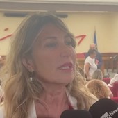 Una legge contro le 'botticelle' nelle strade: "Barbarie sui cavalli" Una legge contro le 'botticelle' nelle strade: "Barbarie sui cavalli"