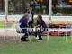 A Cernobbio prove di campo largo: Schlein e Bonelli 'a tu per tu' A Cernobbio prove di campo largo: Schlein e Bonelli 'a tu per tu'