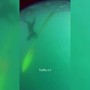 Vendée Arctique, lo skipper Beccaria si tuffa per liberare la barca da una rete Vendée Arctique, lo skipper Beccaria si tuffa per liberare la barca da una rete