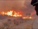Incendio devastante in Andalusia, i vigili del fuoco cercano di domare le fiamme