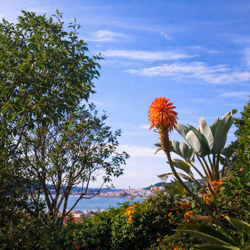 Passeggiata culturale nel quartiere Garavan di Mentone, sulle tracce della Belle Époque ©Les pas-sages