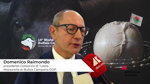 Raimondo (Consorzio Tutela Mozzarella di bufala campana Dop): "Siamo come cani da tartufo contro i falsi" Raimondo (Consorzio Tutela Mozzarella di bufala campana Dop): "Siamo come cani da tartufo contro i falsi"