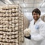 Barilla, selezionate le tre startup vincitrici di Good Food Makers Barilla, selezionate le tre startup vincitrici di Good Food Makers
