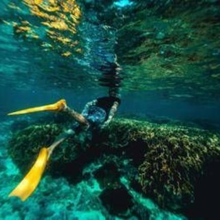 Italiani morti alle Maldive, l'ipotesi: "Uno in difficoltà, gli altri in soccorso"