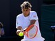 Cobolli, problemi intestinali a Wimbledon: la spiegazione di Flavio