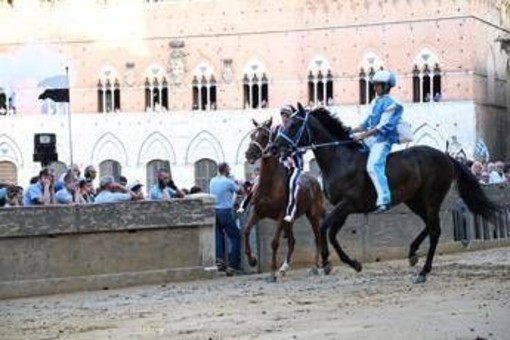 Palio di Siena, la Contrada dell'Onda vince la prima prova Palio di Siena, la Contrada dell'Onda vince la prima prova