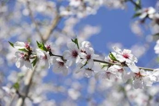 Dai temporali al bel tempo, arriva la prima fiammata estiva con i primi 30-32°C nel weekend