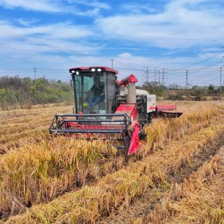 Cina, produzione cerealicola supera 714 mln di tonnellate nel 2025