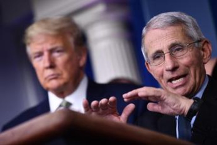 Trump: "Favorevole a eventuale incriminazione di Fauci" Trump: "Favorevole a eventuale incriminazione di Fauci"