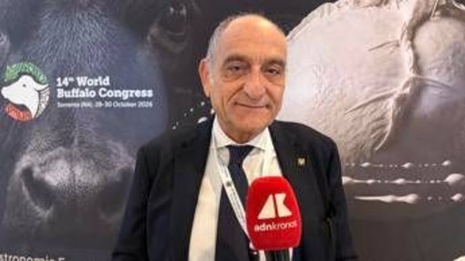 Campanile (Buffalo Federation), "Robotica e genomica cambieranno l'allevamento"
