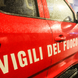Donna scomparsa a Farneta nel 2012, riaperto il caso: indagato l'ex marito (e frate) Donna scomparsa a Farneta nel 2012, riaperto il caso: indagato l'ex marito (e frate)