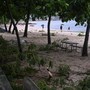 Cina, tifone Noul devasta la provincia del Guangdong: evacuate 800mila persone Cina, tifone Noul devasta la provincia del Guangdong: evacuate 800mila persone