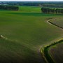 Portavoce Cina, pronti a facilitare commercio agricolo bilaterale con Usa Portavoce Cina, pronti a facilitare commercio agricolo bilaterale con Usa
