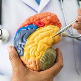 Malattie neuromuscolari e miastenia grave, nasce academyX per l'alta formazione