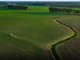 Portavoce Cina, pronti a facilitare commercio agricolo bilaterale con Usa Portavoce Cina, pronti a facilitare commercio agricolo bilaterale con Usa