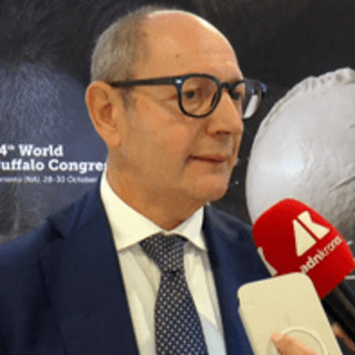 Raimondo (Tutela mozzarella bufala campana Dop): "Filiera 1,2-1,3 mld, quasi una Fiat"
