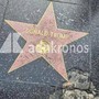 Trump, la stella a Hollywood è 'rotta'. E c'è un insulto all'Ice Trump, la stella a Hollywood è 'rotta'. E c'è un insulto all'Ice