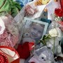 Domenico morto a Napoli, il consulente della famiglia: "Da vetrini confermate lesioni da ghiaccio secco"