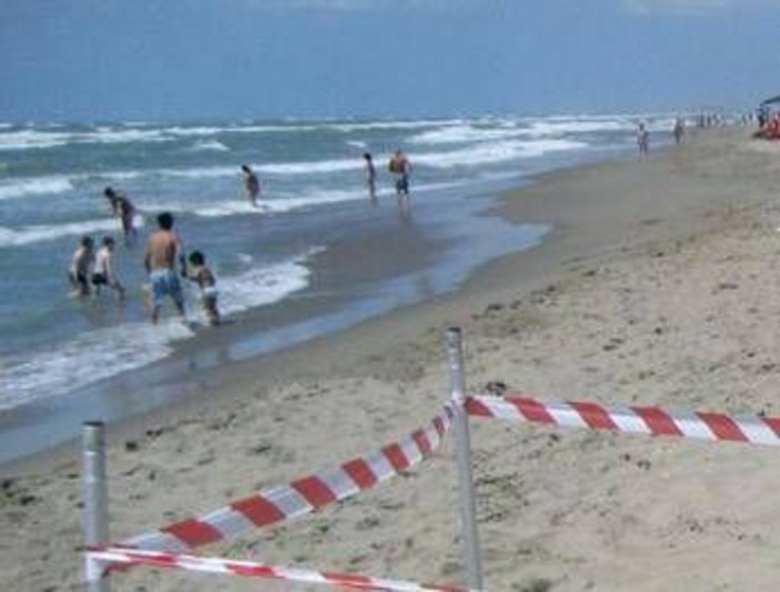 Moria di pesci a Torvajanica e Ardea, controlli sul litorale Moria di pesci a Torvajanica e Ardea, controlli sul litorale