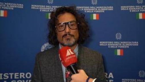 Made in Italy, Chef Borghese: "Ristorazione italiana deve offrire esperienza autentica" Made in Italy, Chef Borghese: "Ristorazione italiana deve offrire esperienza autentica"