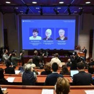 Nobel per la Medicina, scienziata amica dei vincitori: "La forza della curiosità li ha spinti controcorrente"