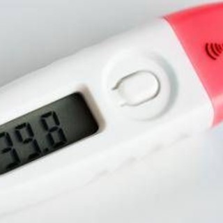 Influenza e virus 'cugini', Pregliasco: "Con il freddo aumentano i casi, possibili 400mila colpiti in una settimana" Influenza e virus 'cugini', Pregliasco: "Con il freddo aumentano i casi, possibili 400mila colpiti in una settimana"