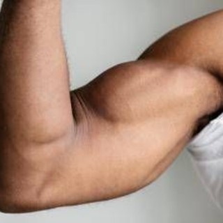 Ecco perché i muscoli invecchiano, lo studio italiano svela il ruolo dei perossisomi Ecco perché i muscoli invecchiano, lo studio italiano svela il ruolo dei perossisomi