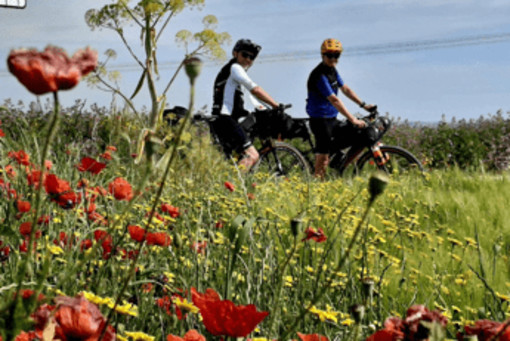 Medicina personalizzata, in bici sulla via Francigena per prevenzione e ricerca contro il cancro