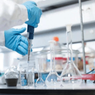 Ricerca: Leucemia linfatica cronica, contro resistenza a farmaci scoperta molecola UVI5008