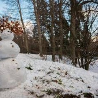 Perché si chiamano giorni della merla? Storia e mito dei giorni più freddi di gennaio Perché si chiamano giorni della merla? Storia e mito dei giorni più freddi di gennaio