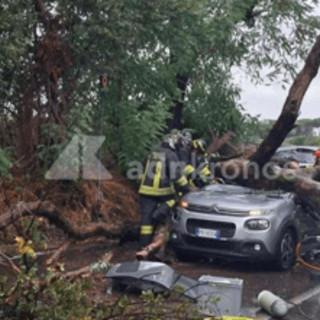 Maltempo a Roma, albero caduto sull'auto: chi paga i danni? La risposta degli esperti