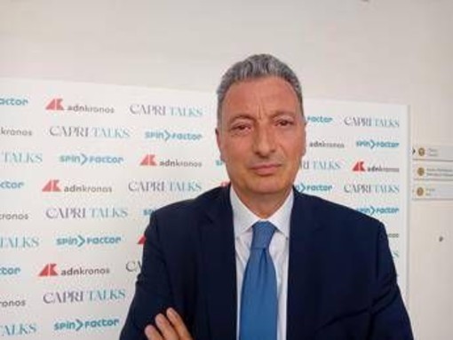 Bollette, Vigilante (Gse): "Far sì che cittadini e imprese usino strumenti contro caro energia"