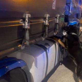 Sequestrati 85 kg di droga al porto di Civitavecchia, arrestato autista bulgaro