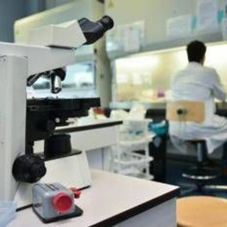 Morbo di Parkinson, 4 segnali prima del tremore: la ricerca Morbo di Parkinson, 4 segnali prima del tremore: la ricerca