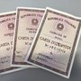 Carta d'identità cartacea, da oggi stop per l'espatrio: cosa cambia e chi deve fare la Cie