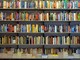 Da David Foster Wallace a Pierre Lemaitre, le novità in libreria Da David Foster Wallace a Pierre Lemaitre, le novità in libreria