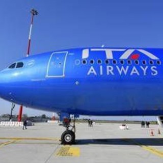 Cani in aereo, in cabina anche gli animali domestici di grossa taglia: il servizio Ita, come funziona