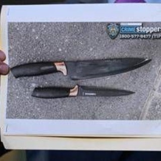 Aggressione a Times Square, la donna accoltellata a morte è la vicepresidente di Bank of America Aggressione a Times Square, la donna accoltellata a morte è la vicepresidente di Bank of America
