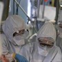 Virus Shamonda, "no casi umani in Italia, attenzione rafforzata": la circolare del ministero dell a Salute Virus Shamonda, "no casi umani in Italia, attenzione rafforzata": la circolare del ministero dell a Salute