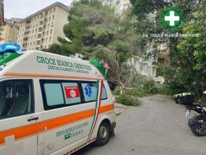 Maltempo sull'Italia, donna ferita da un ramo caduto a Genova. Grandine e pioggia a Roma, traffico in tilt
