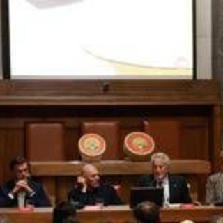 Consorzio Formaggi Valtellina Casera e Bitto compie 30 anni Consorzio Formaggi Valtellina Casera e Bitto compie 30 anni