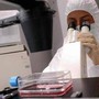 Florida, cresce l'allarme per il batterio mangiacarne: c'è una seconda vittima Florida, cresce l'allarme per il batterio mangiacarne: c'è una seconda vittima