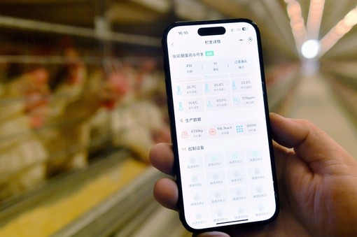 La Cina crea un sistema di registrazione per i diritti di proprietà dei dati