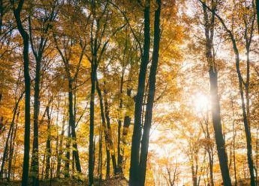 Il maltempo molla la presa, torna l'anticiclone e salgono le temperature: la tendenza dei prossimi giorni Il maltempo molla la presa, torna l'anticiclone e salgono le temperature: la tendenza dei prossimi giorni