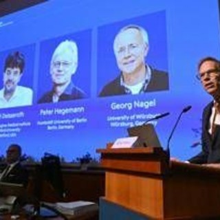 Nobel per la Medicina a Karl Deisseroth, Peter Hegemann e Georg Nagel