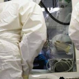 Ebola, la conferma di un focolaio in Congo: "246 casi sospetti e 65 morti"
