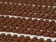 F1 da sport di nicchia a fenomeno pop, 1 italiano su 3 vorrebbe vivere un Gp dal vivo F1 da sport di nicchia a fenomeno pop, 1 italiano su 3 vorrebbe vivere un Gp dal vivo
