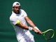 Wimbledon, oggi Berrettini-Dimitrov - Diretta