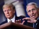Covid Usa, Fauci si avvale del quinto emendamento. Trump: "Sue idee folli"